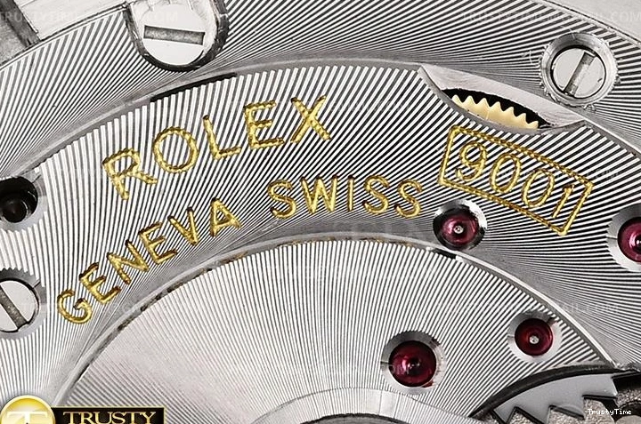 0224 Resilient ROLSKD010B – Skydweller 1030